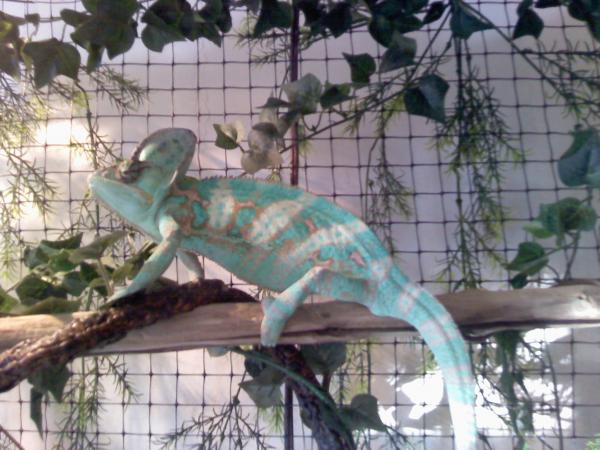 Picture 007