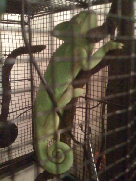 Picture 014