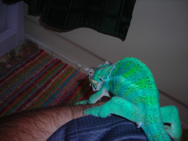 Picture 027