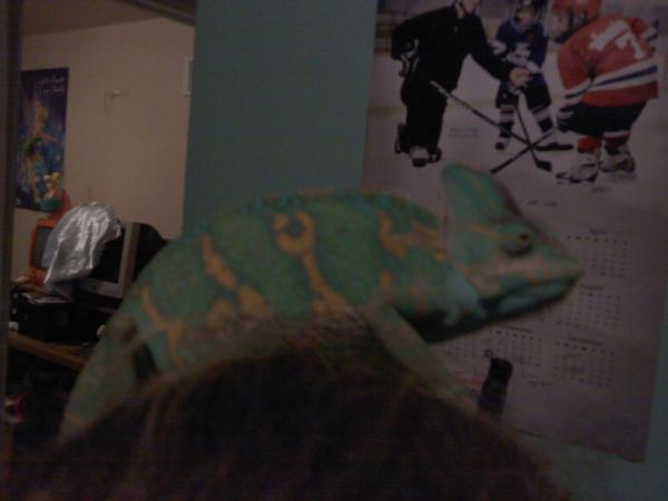 Picture 040