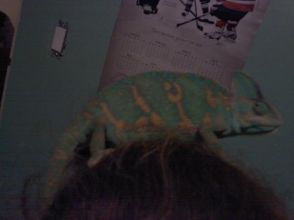 Picture 041