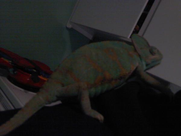 Picture 045