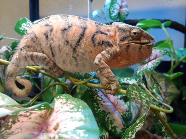 Picture taken 1-15-13