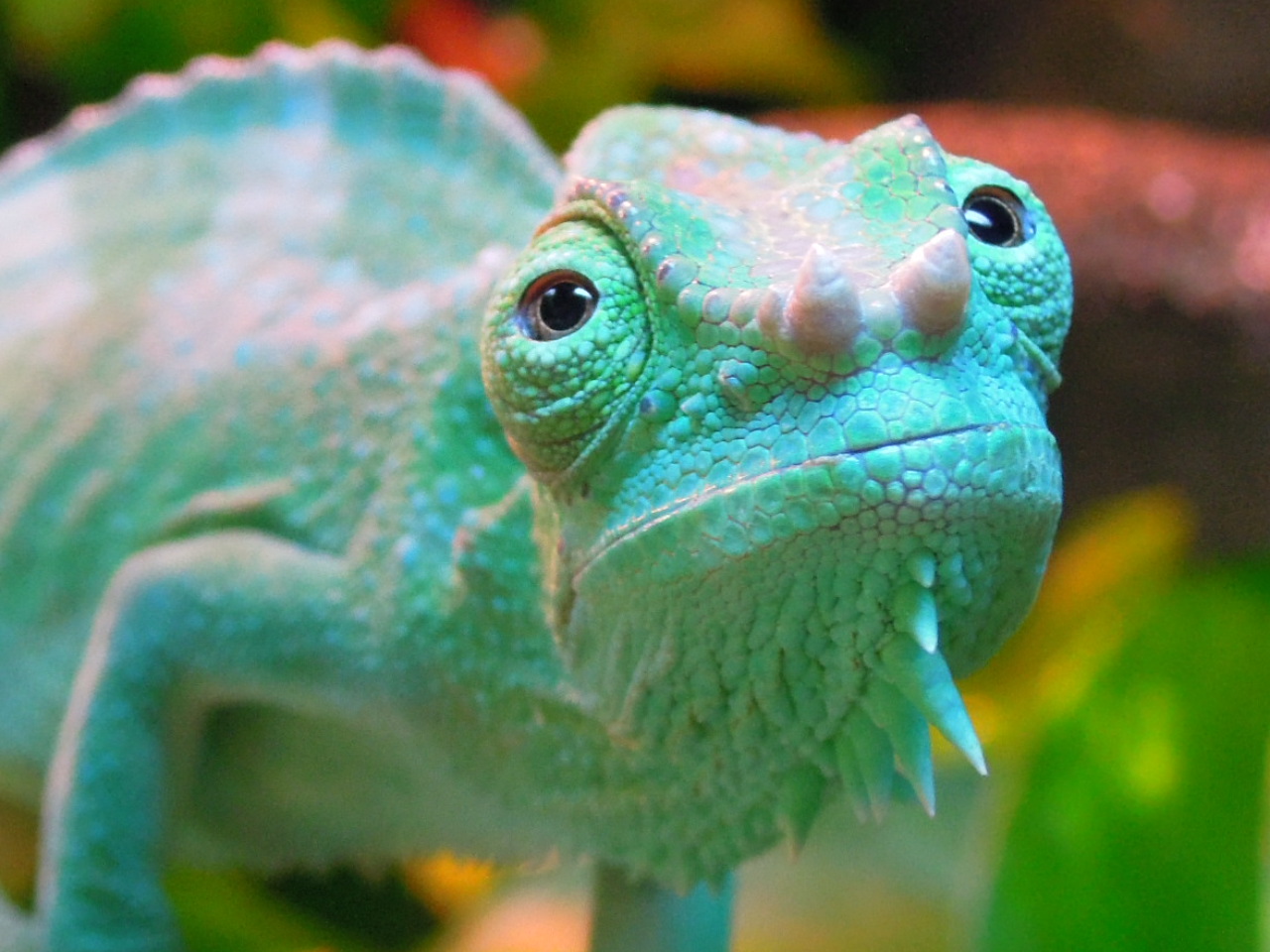 "please Sir May I Have Some More"