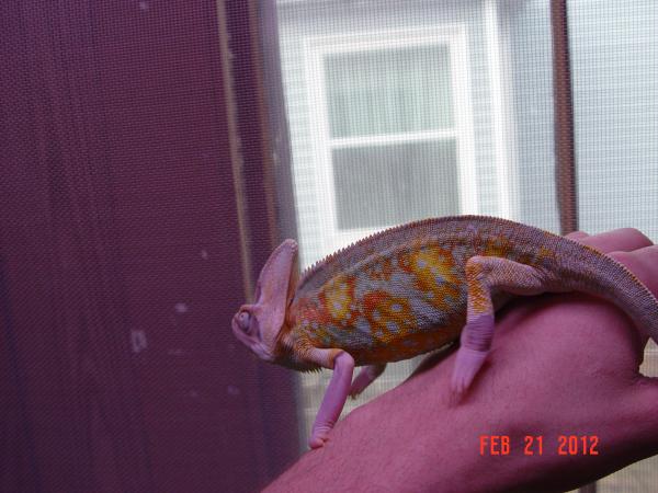 Pretty boy.