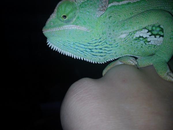 Pretty gurl , a little sassy.