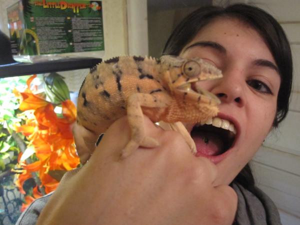 raaaar!!!