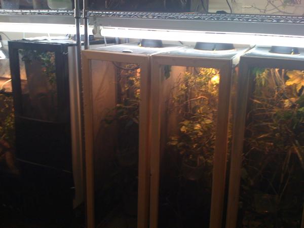 Racks side by side