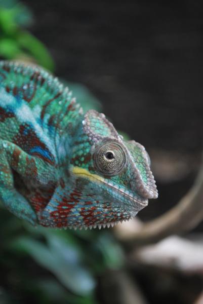 Rainbow just when the lights went on