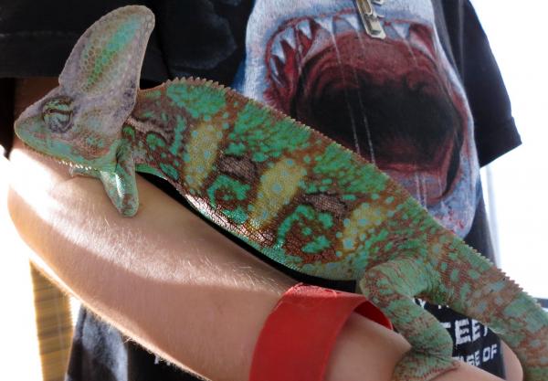 Rango 7 months