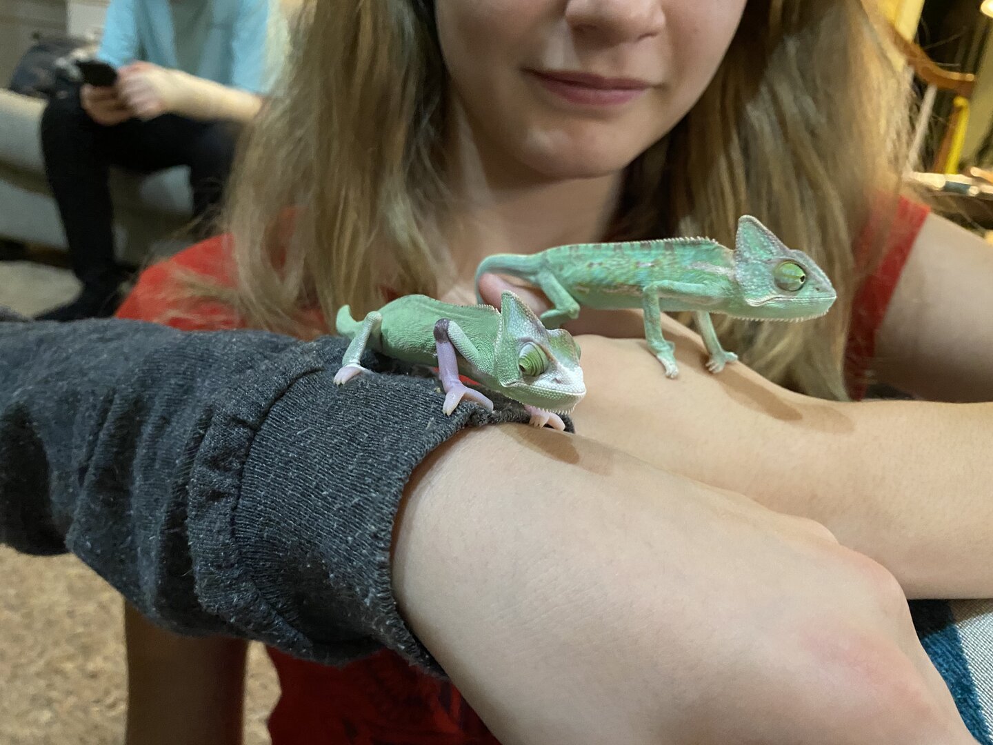 Rango, looks bigger than 2Socks!