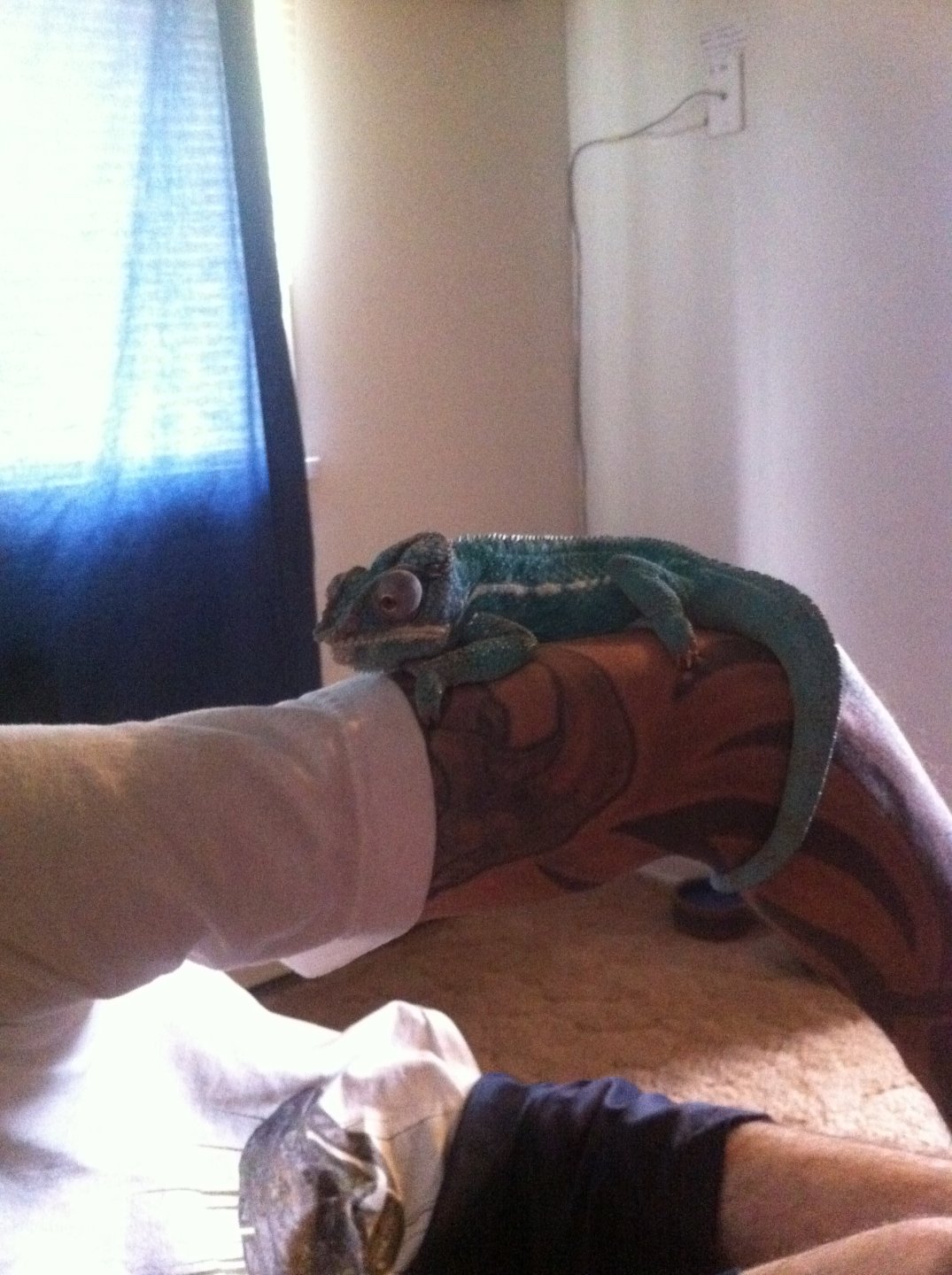 Rango