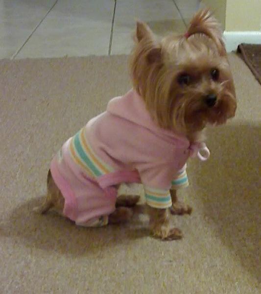 Ready for a jog!
