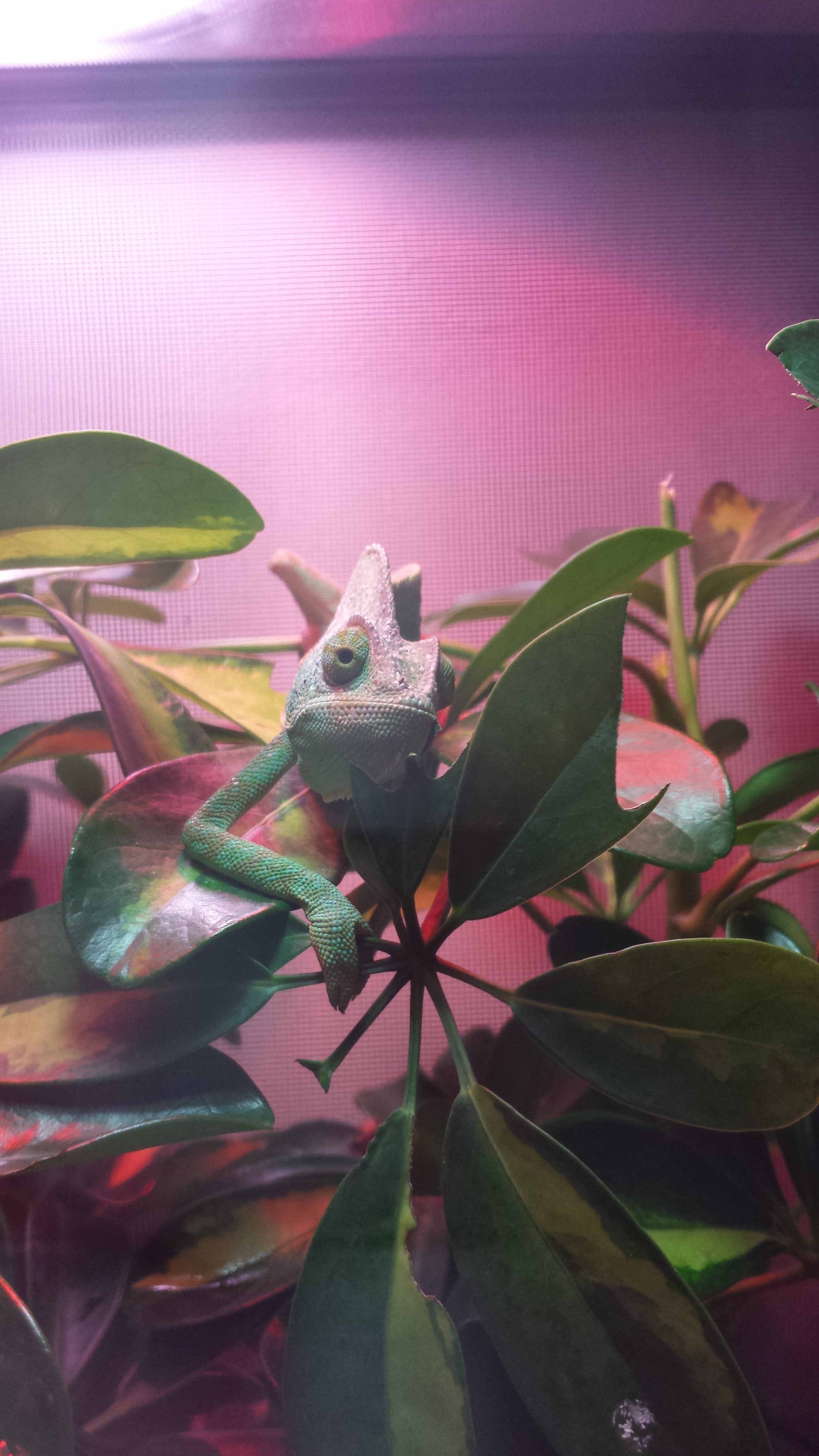 Ready For My Closeup!