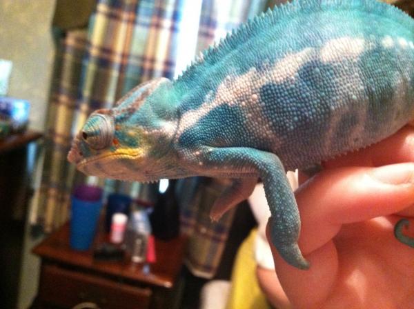 really starting to love his colors