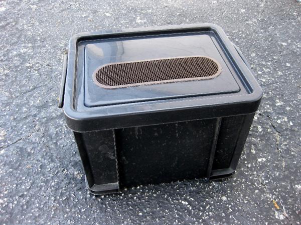 Really Useful Box, fitted with this vent screen. This is nice for a small colony of Discoids.
