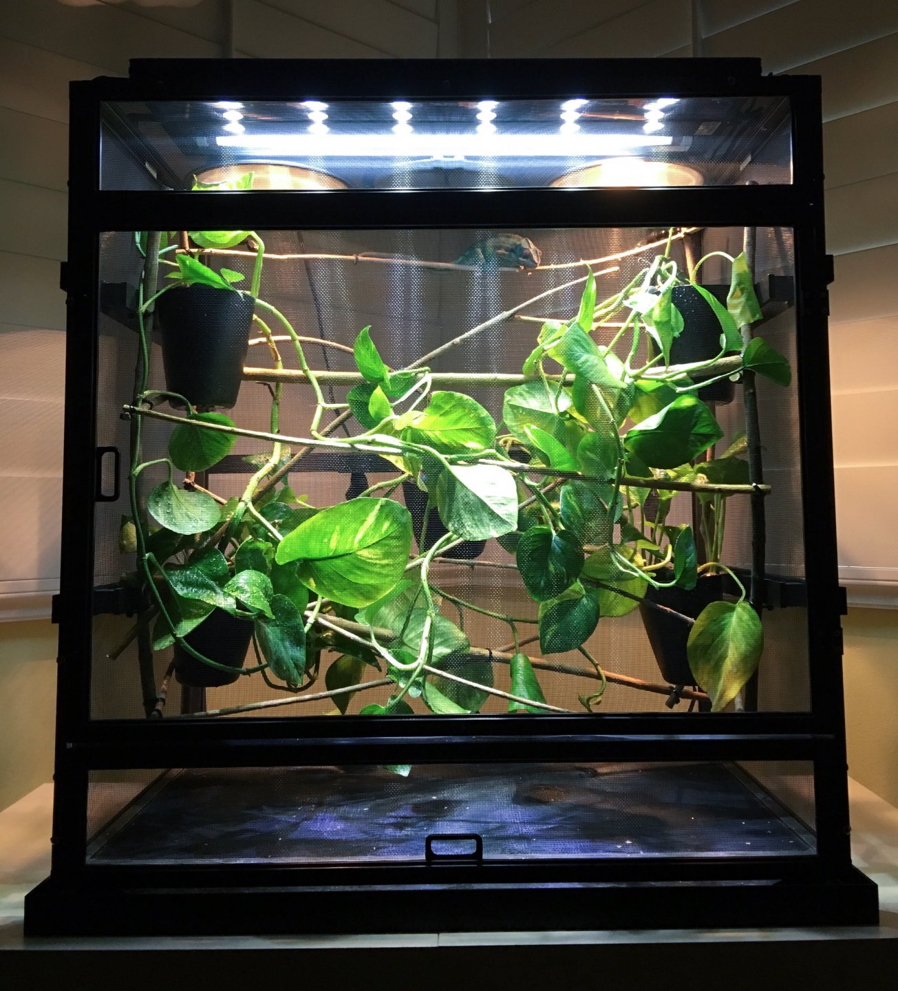 Rearranged some things - 20160306