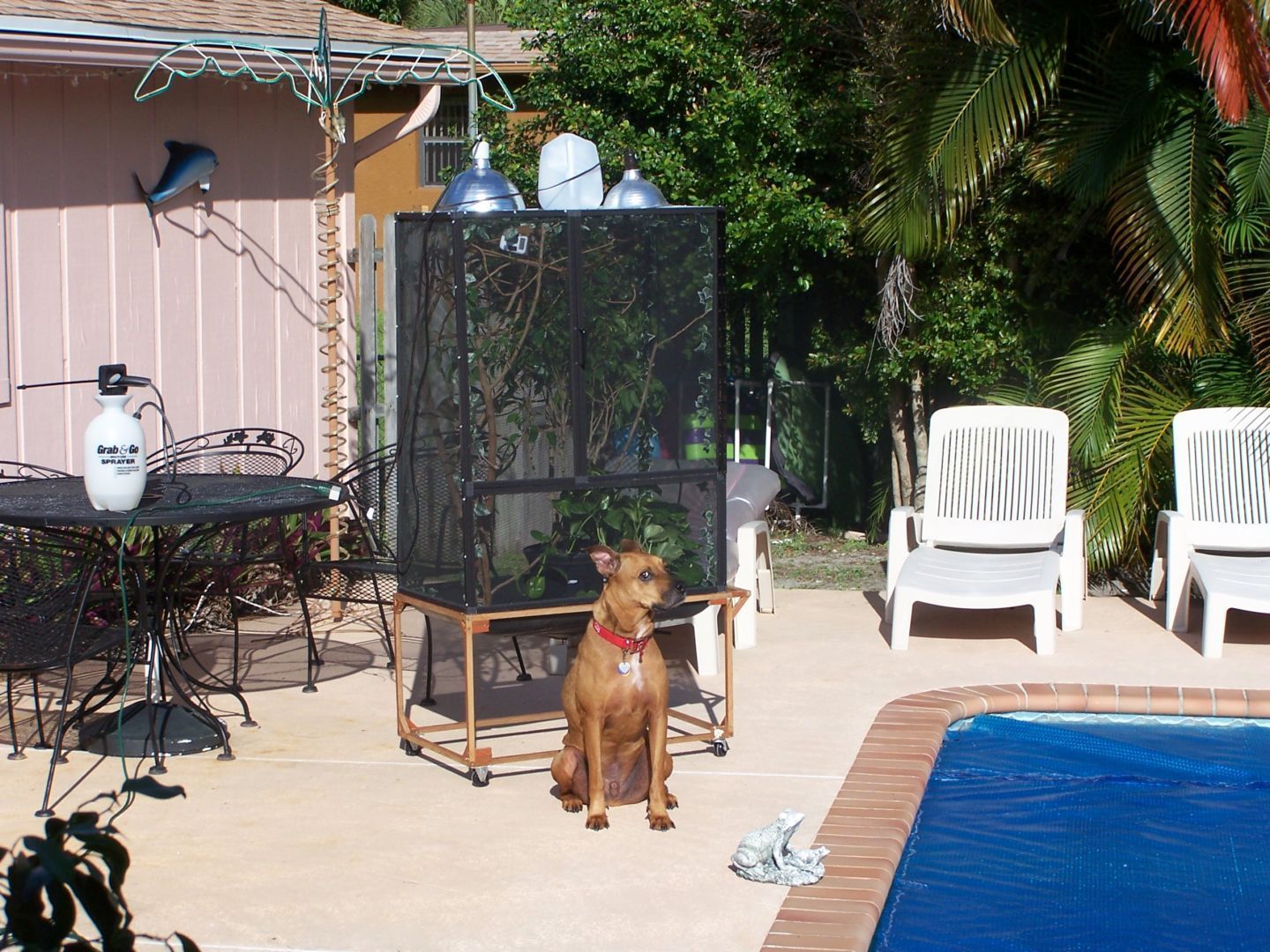 Red and Luie in his cage