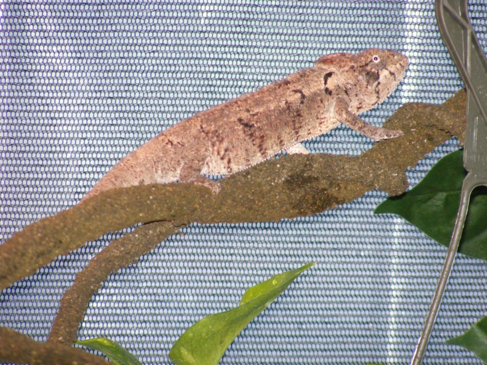 Reilly's First Day Home