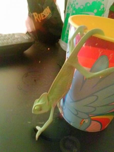 reptar8 9