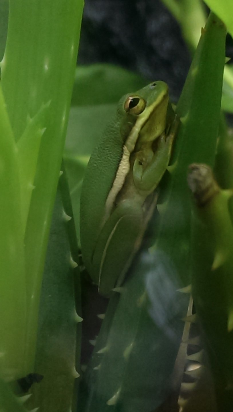 Resting
