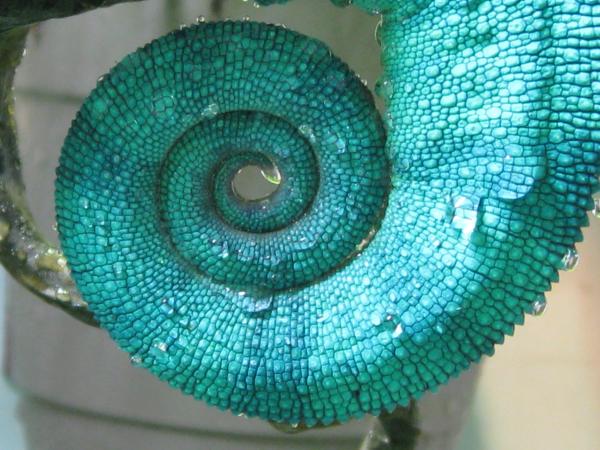 Right after his morning shower