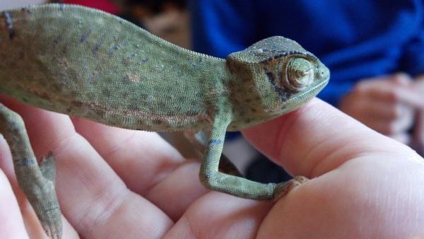 Right side showing bum eye :(