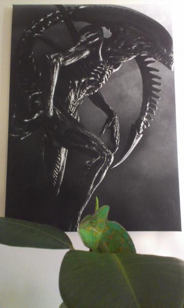 Ripley is the boss