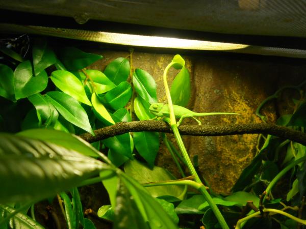 Run! That big eye is looking at me again!