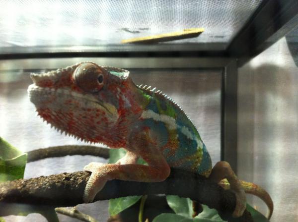 rxfgBTBMLOp voEL0a 9Rb5XOl93swSF5rt4szFG7vA