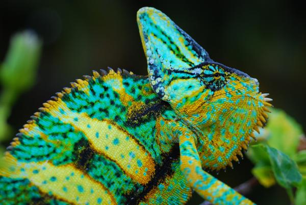 Sage 10 months old and 170 grams  1/26/14  #778