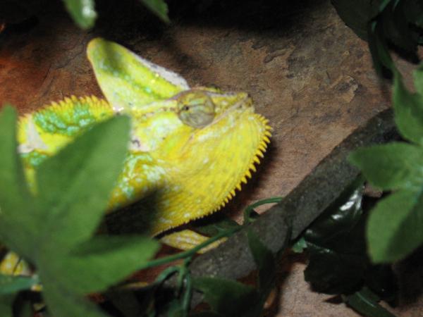 saki II pictures 016