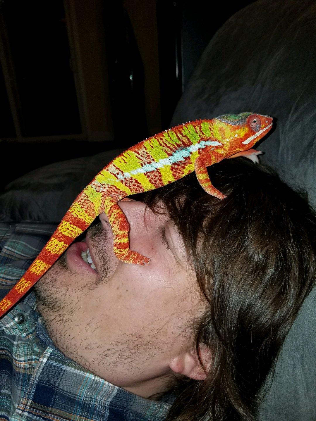 Same night. Super chillin.