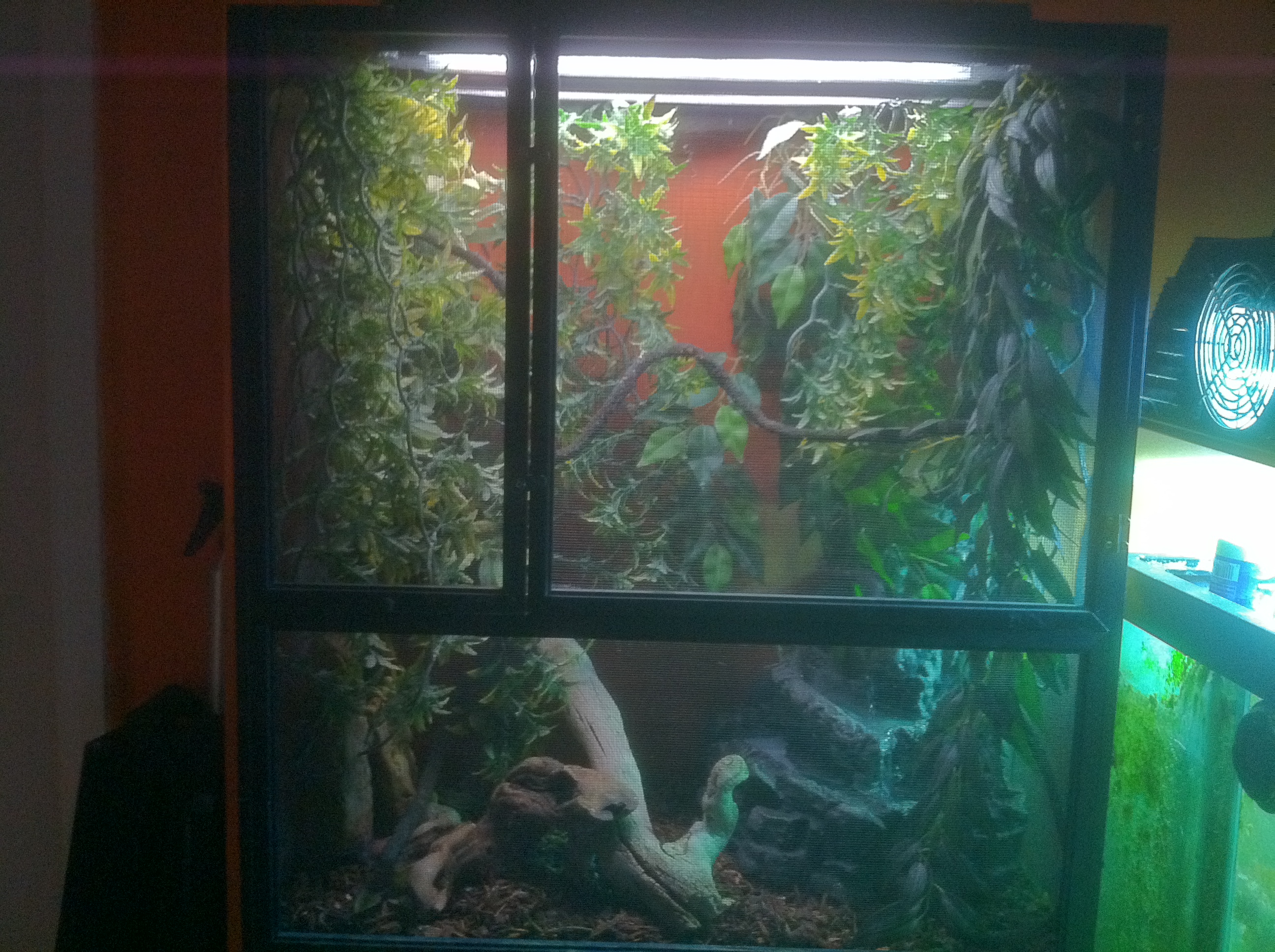 Sams Cage