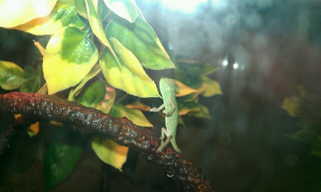 Save 20 % Or More On Your Car Insurance !