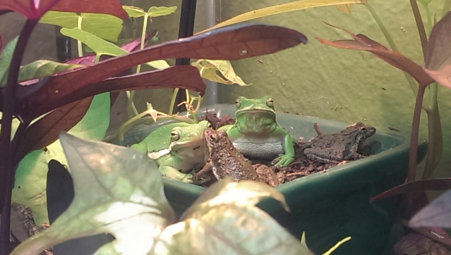 Serendipitous Cohabitation