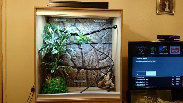 Setting up boy georges new digs