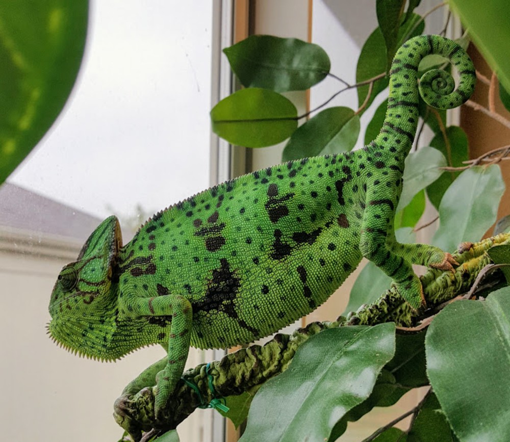 She is really fired up about something.