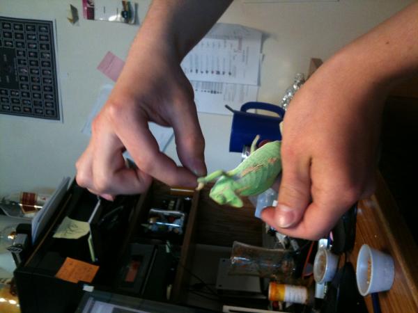 she rather grab the worm than eat it