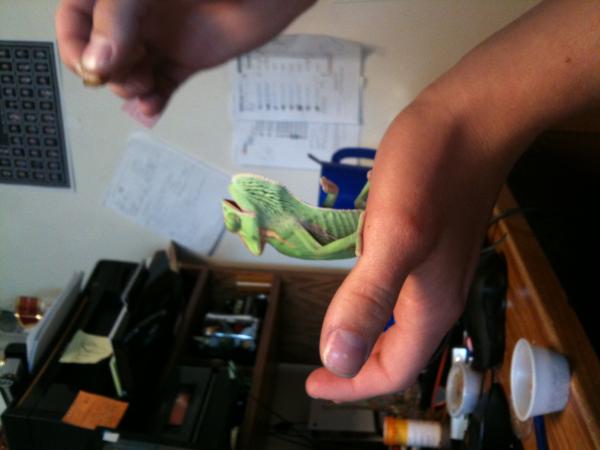 she was a bit frustrated with me :P