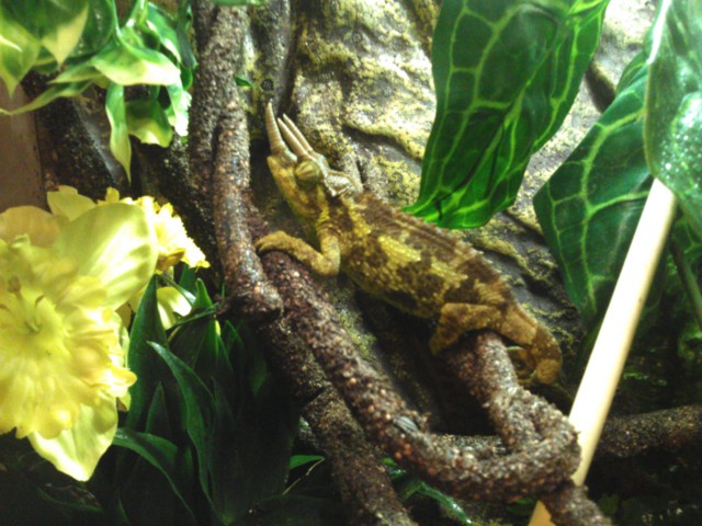Sheldon In His Updated Digs