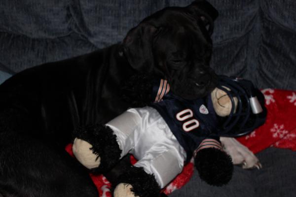 She's a bears fan.