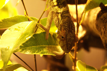 She's got her eye on the feeder cup..