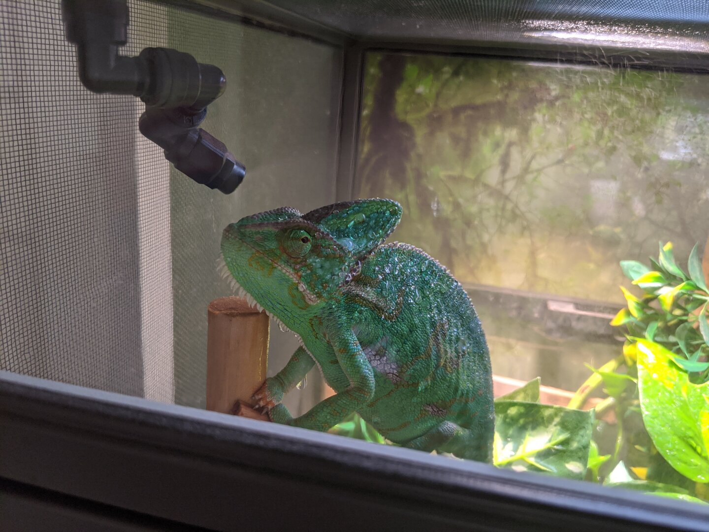 Shower time