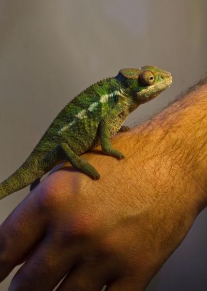 Sid - growing up every day