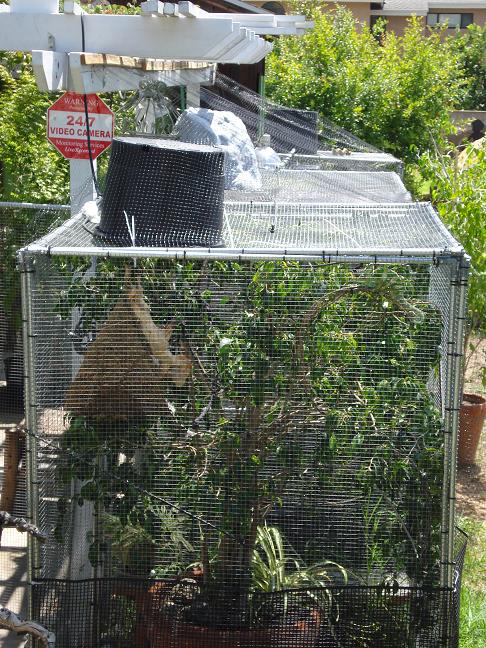 Side View Of Cages