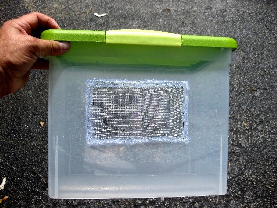 Simple snap top Sterilite (I think?) container with screen hot glued on both sides for ventilation.