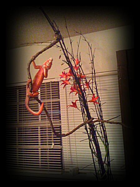 sleeping and leaning.