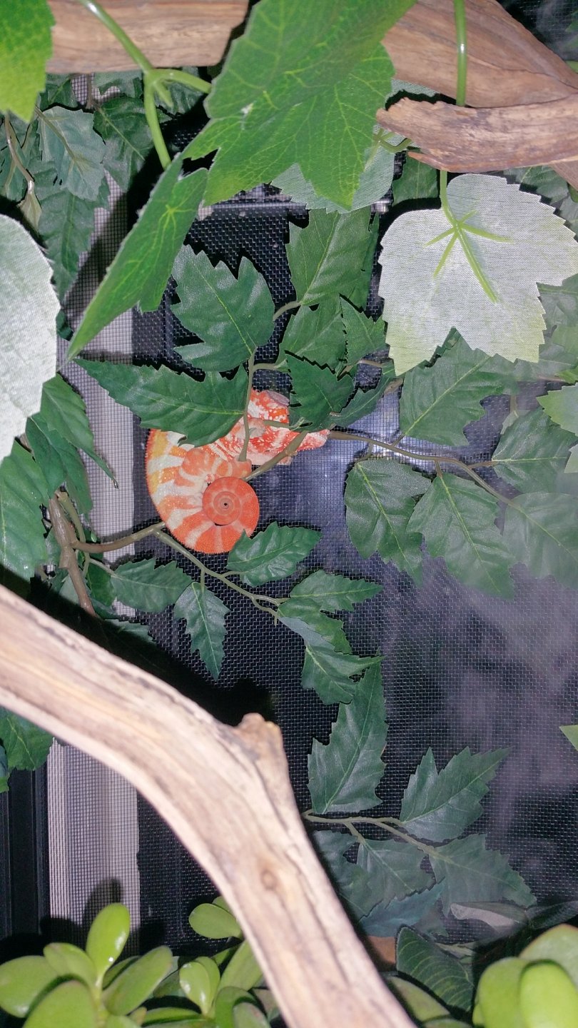 sleeping tight