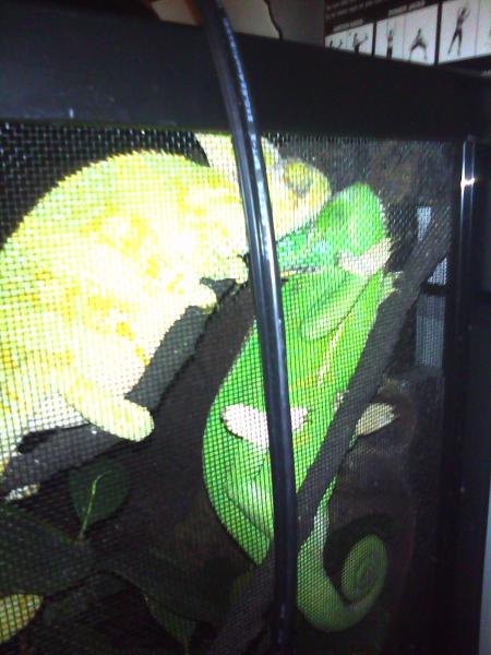 Sleeping together <3